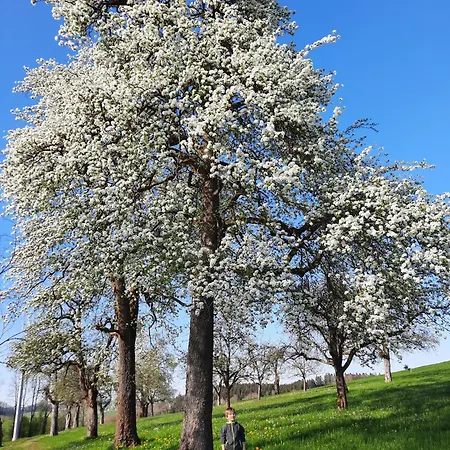 Apartamento Pusteblume